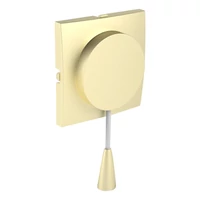 EFAPEL 90741_TDU Fedlap húzókapcsolóhoz arany