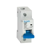ELMARK  41190B KISMEGSZAKÍTÓ C100M 10KA 1P 100A BC100M