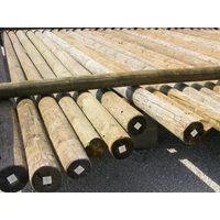 Faoszlop 6,5 m szabadvezetéki, fúratlan