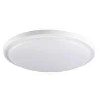 KANLUX 29161 ORTE LED 24W-NW-O lámpa, energiaosztály.:E