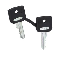 Schneider ZBG455 Harmony pótkulcs kulcsos kapcsolóhoz, 455, 2db