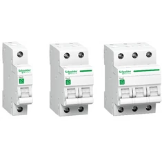 Schneider Kismegszakítók